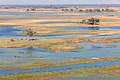 * Nomination Makoros in the Okavango Delta, Botswana --Poco a poco 19:02, 30 January 2019 (UTC) * Promotion  Support Good quality. --Ermell 19:46, 30 January 2019 (UTC)