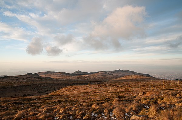 Torfeno Branishte (Peat Reserve) on the Vitosha Plateau. The city of Sofia can be seen in the background (right).