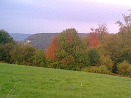 Vue de Fatouville (- Grestain). 
 jpg