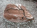 "Bread-crust" type volcanic bomb at Vulcania, Puy-de-Dôme, France