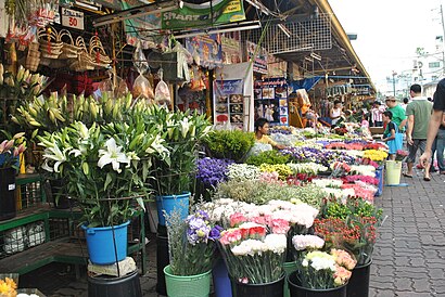 How to get to Dangwa Flower Market with public transit - About the place