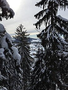 Blick vom Pfad auf Neuschönau