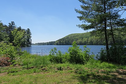 How to get to Walker Pond with public transit - About the place