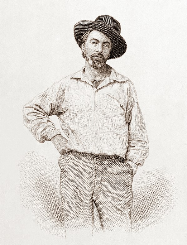 Whitman in July 1854, aged 35, from the frontispiece to Leaves of Grass from a lost daguerreotype by Gabriel Harrison