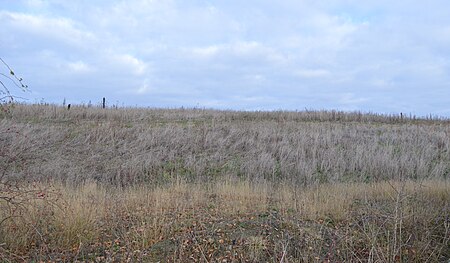 Warboys Clay Pit 4