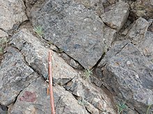 The Washburn Group of Yellowstone National Park includes volcaniclastic conglomerate. Washburn Group volcaniclastics.jpg