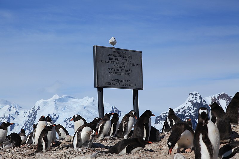 File:Waterboat Point, Antarctica (6122949970).jpg