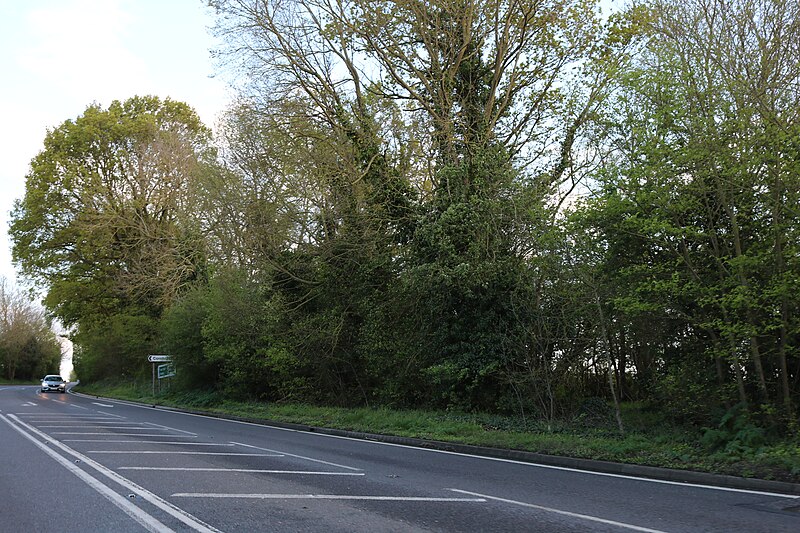 File:Watling Street, Pattishall - geograph.org.uk - 6149283.jpg