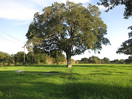 West Columbia TX SF Austin Deathplace.jpg