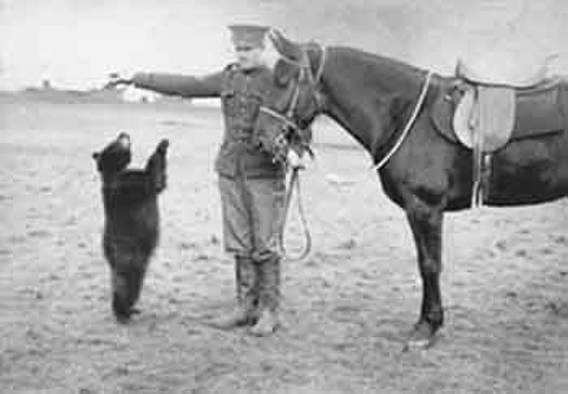 Winnie the Bear as a cub with a sergeant of the CAVC