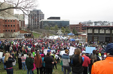 Womans March Roanoke Virginia.jpg