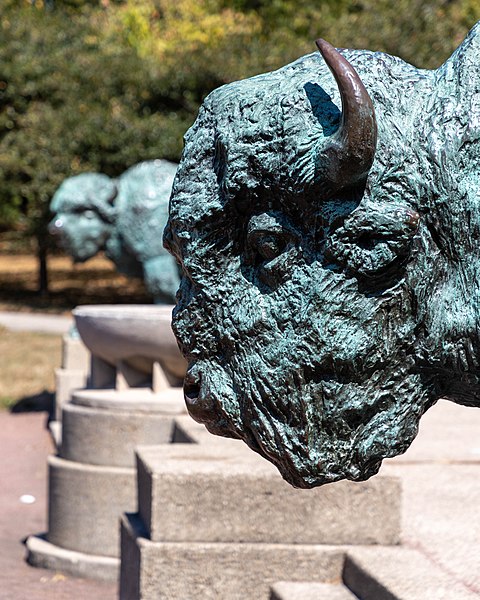 File:World's Fair Bison Humboldt Park Chicago 2020-0669.jpg