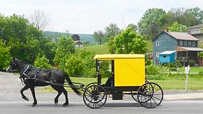 Yellow topped buggy of the Byler Amish in Belleville Yellow top buggy Belleville PA.jpg