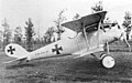 Pfalz D.III der Marine-Jasta 2