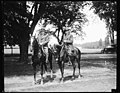 "Daddy" of Assistant Secretary of Agriculture is expert horseman at 84. Although he has passed his 84th birthday, Nelson J. Dunlap, (right) father of the Assistant Secretary of Agriculture, LCCN2016888397.jpg