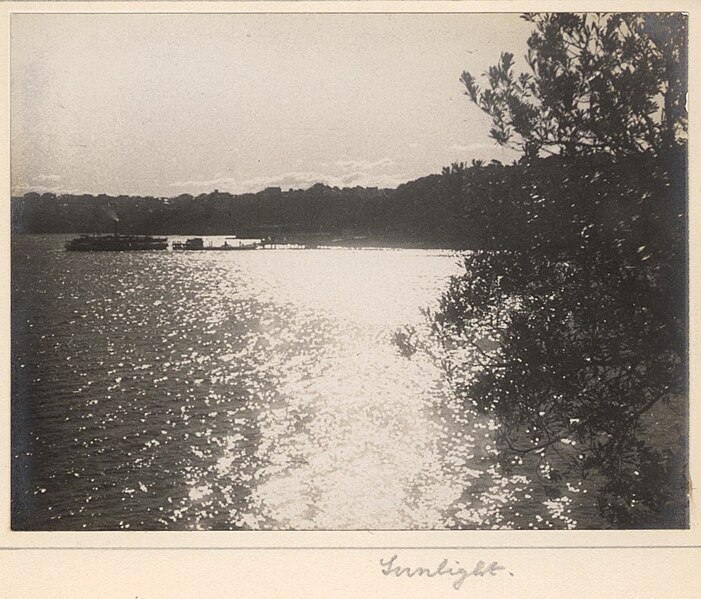 File:'Sunlight' - RAHS-Osborne Collection c. 1930s (15775731511).jpg