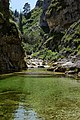* Nomination The Ötscherbach in the Ötscher Canyon, nature park Ötscher-Tormäuer, Lower Austria --Uoaei1 07:43, 7 January 2015 (UTC) * Promotion  Support Good quality. --Dnalor 01 09:07, 7 January 2015 (UTC)