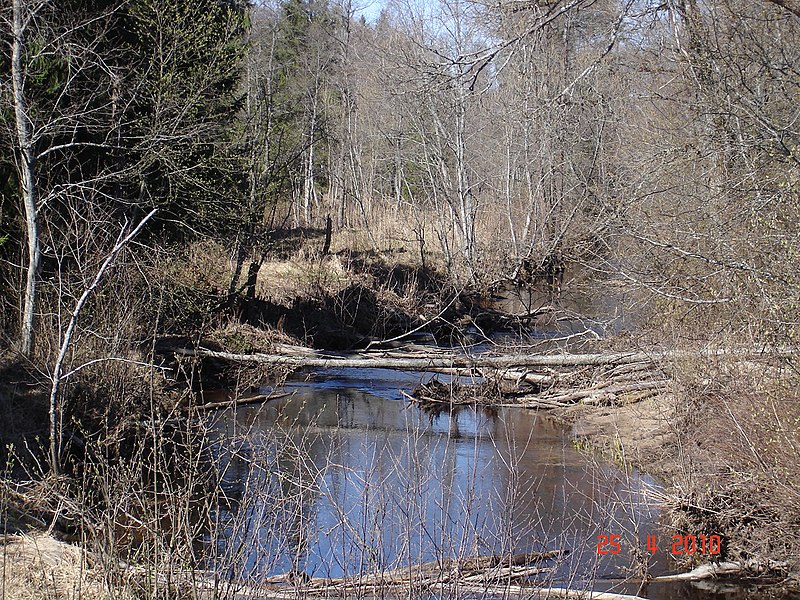 File:Речка Виесите Viesītes upe - panoramio.jpg