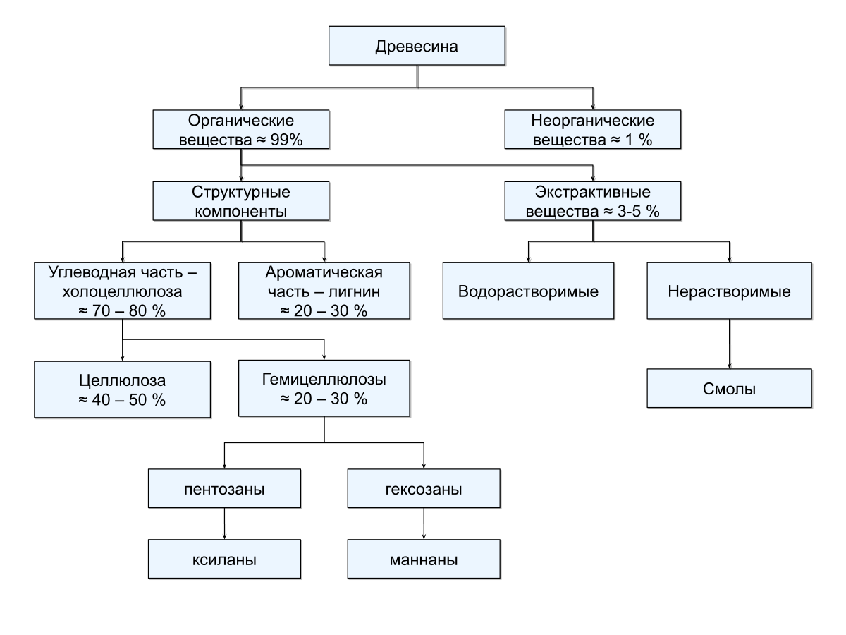 Состав дерева схема