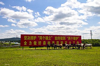 <span class="mw-page-title-main">Two Establishes and Two Upholds</span> Political slogans of the Chinese Communist Party