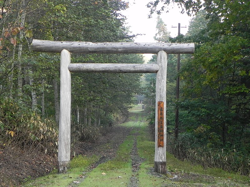 File:薬師温泉神社 - panoramio.jpg