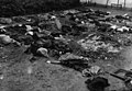 01941 Opfer des NKWD im Hof des Geheimpolizeigefängnisses von Lemberg am 06.07.1941.jpg