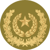 06.Esercito pakistano-MSG.svg