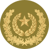 06.Pakistan Army-MSG.svg