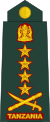 17-Tanzania Army-GEN.svg