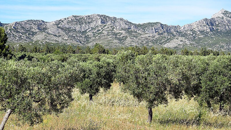 File:170604-Alpilles-01.jpg