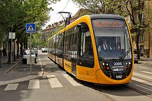 Městská Hromadná Doprava V Budapešti: Druhy dopravy, Typy jízdenek, Rozvojové plány
