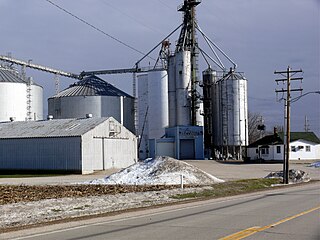 <span class="mw-page-title-main">Troy Grove, Illinois</span> Village in Illinois, United States