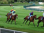 The Hippodrome de Longchamp is the main racetrack of Paris
