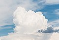 2016 Chmura Cumulus congestus 02.jpg