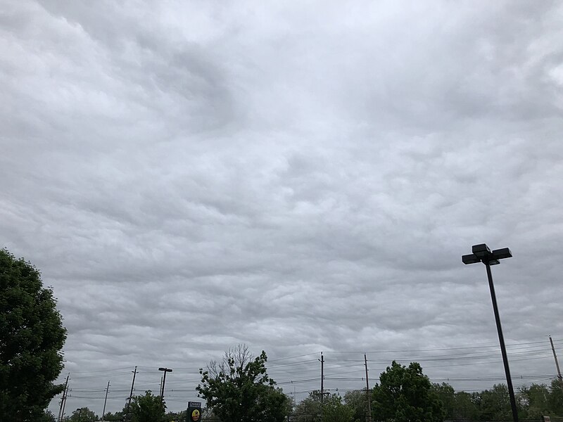 File:2018-05-18 18 27 21 Low stratiform clouds (base near 3,000 feet AGL) with wavy, bumpy base viewed from Mercer County Route 622 (North Olden Avenue) in Ewing Township, Mercer County, New Jersey.jpg