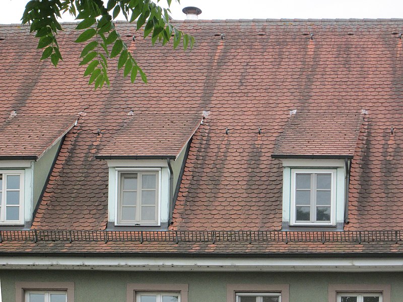 File:20180523Hauptstraße 43 Reilingen4.jpg