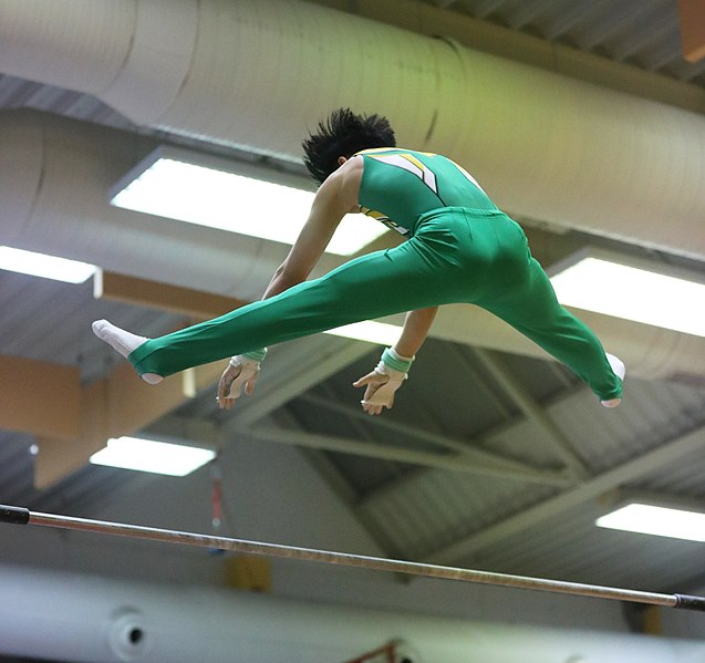 File:2019-11-30 OHC Liberec 2019 MAG Apparatus finals Horizontal bar (Martin Rulsch) 030.jpg