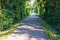 Deutsch: Zum Fahrradweg umgebaute Trasse der ehemaligen Kochertalbahn in Ingelfingen (August 2020).