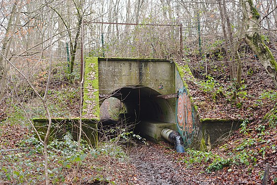 A pedestrian tunnel in rural Saarland, which now carries a runlet