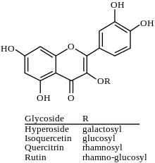 3-O-Glycosides of quercetin 3-O-Glycosides of quercetin-en.svg
