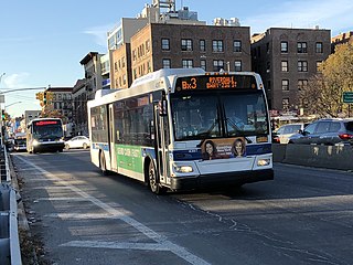 <span class="mw-page-title-main">Bx3 (New York City bus)</span> Bus route in New York City