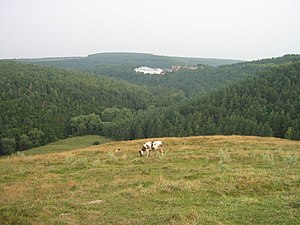 Distant view of the hilltop castle