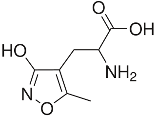 <span class="mw-page-title-main">AMPA</span> Chemical compound