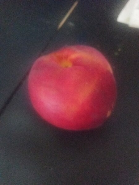 File:A peach.jpg