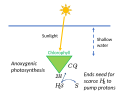 Anoxygenic photosynthesis