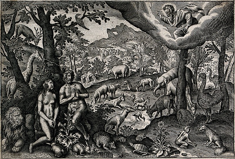 File:Adam and Eve humbly pray to a stern God. Line engraving. Wellcome V0034182.jpg