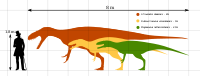 Afrovenatorinae Size Comparison by PaleoGeek