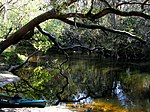 Thumbnail for Alafia River