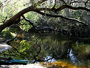 Alafia River near Lithia Springs Park