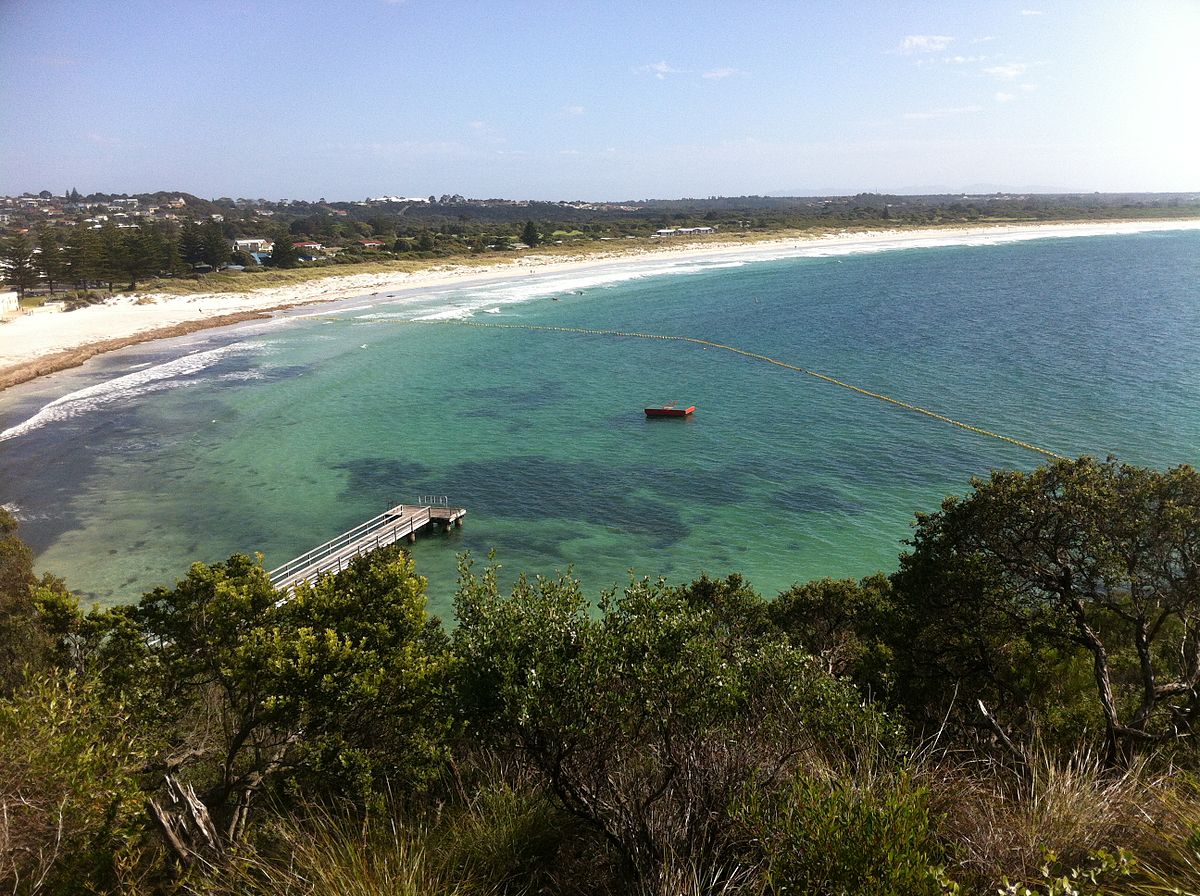 Middleton Beach shark barrier